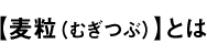 【麦粒（むぎつぶ）】とは