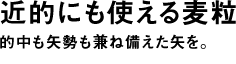 近的にも使える麦粒。的中も矢勢も兼ね備えた矢を。