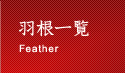 羽根一覧 Feather