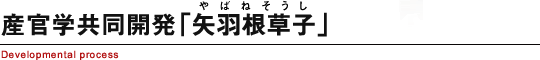 産官学共同開発「矢羽根草子」 Developmental process